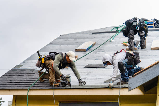 Professional Gutter Installation technician working in Athens, AL